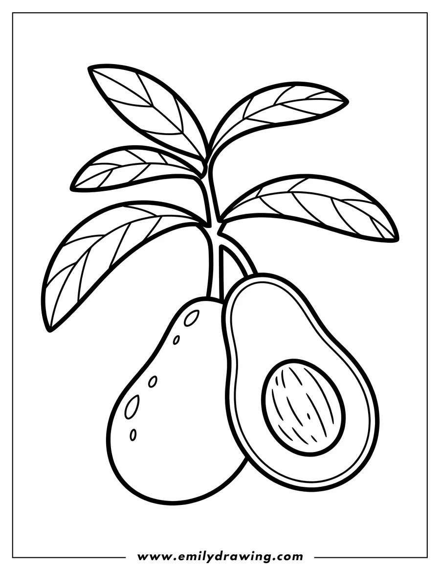 Outline drawing of two avocados hanging from a leafy branch. One avocado is whole, and the second is cut in half, clearly revealing the large textured pit inside.