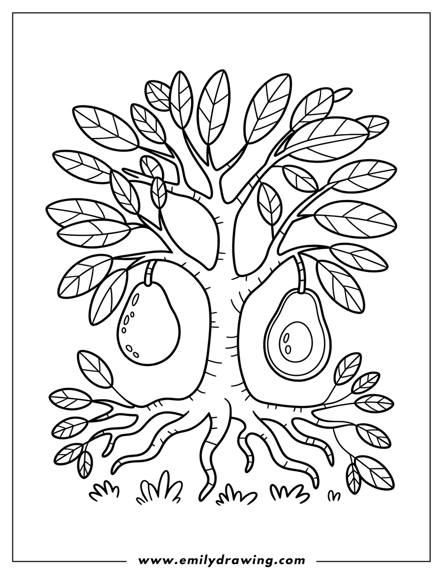 Outline of an avocado tree bearing fruit, featuring one whole avocado and one sliced avocado showing the large central pit.