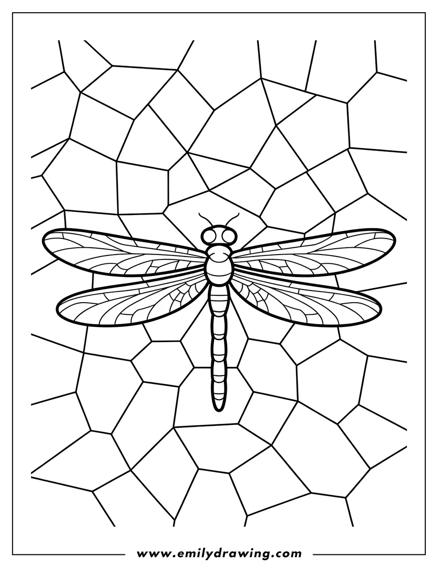 Line art of a dragonfly with detailed wings, set against a backdrop of a stained-glass window pattern.