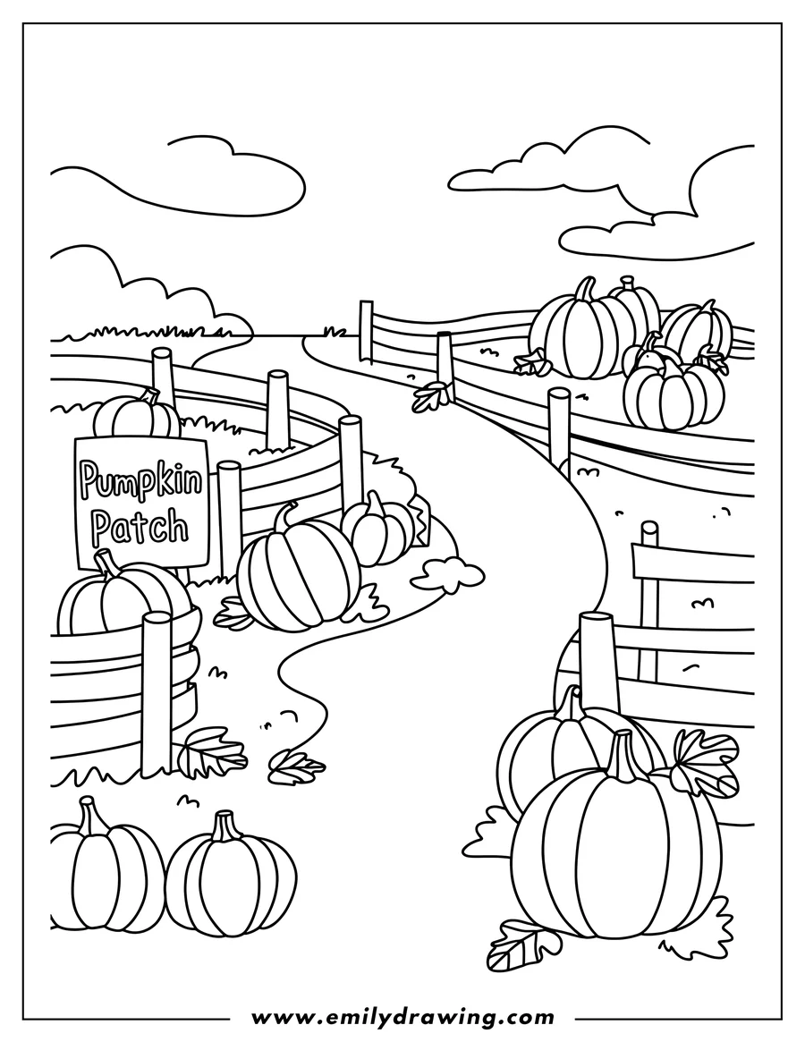 Outline of pumpkins at a pumpkin patch with a sign, fences, and fall leaves.