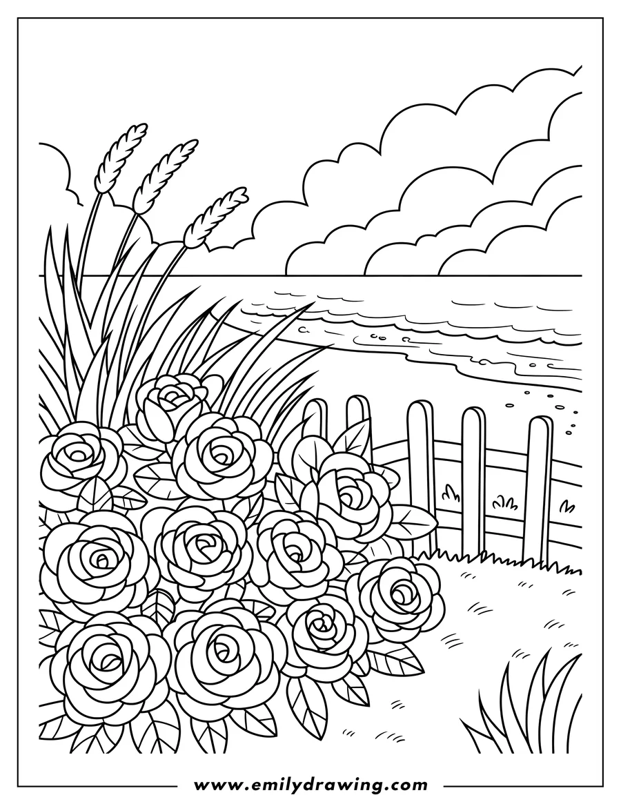 Line art of a cluster of roses and tall grasses near a wooden fence, with ocean waves and clouds in the background.