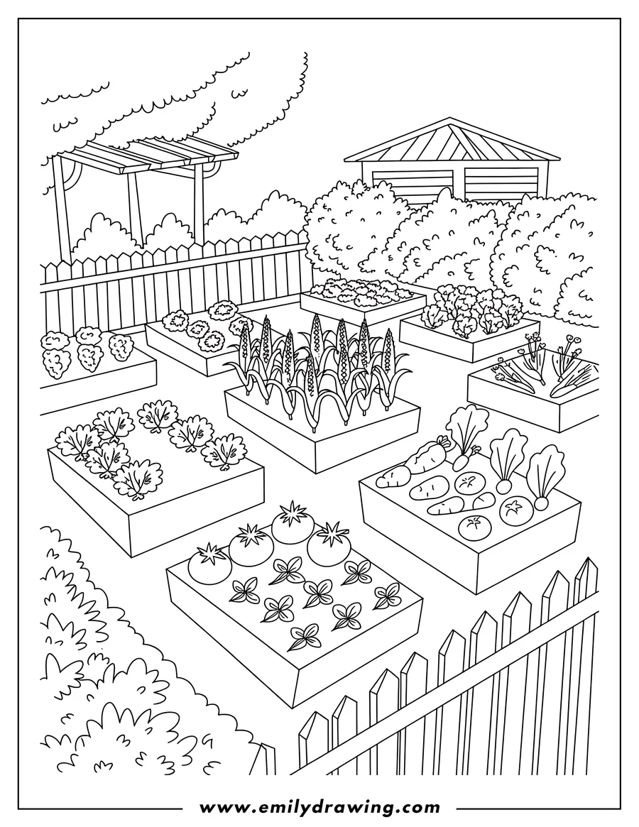 Outline of a vibrant vegetable garden with various raised garden beds, a shed, and a wooden fence.