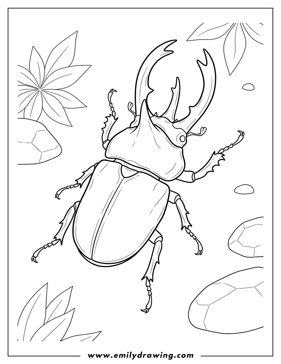 Downloadable coloring page of atlas Beetle Outline with large horns