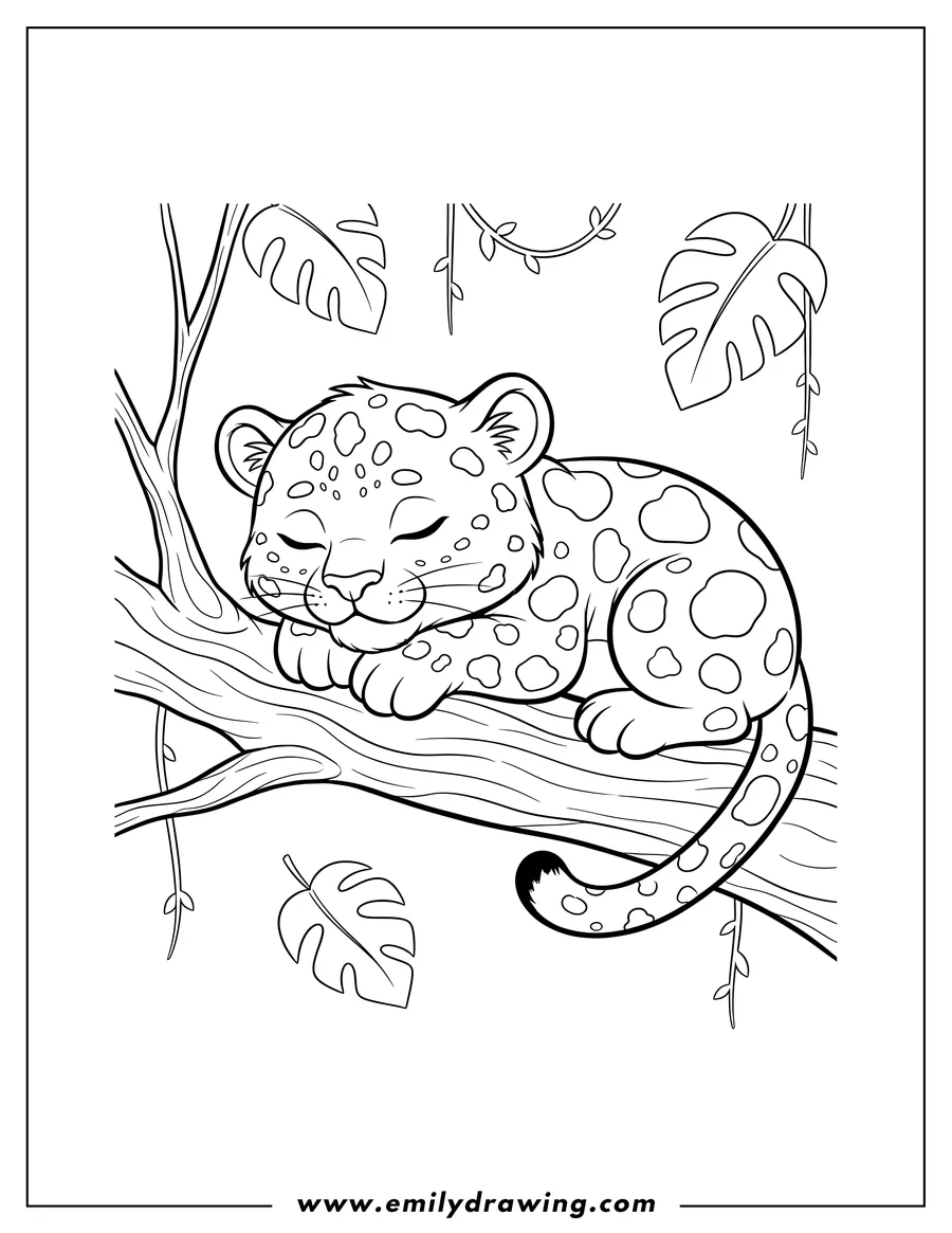 Vector style outline of baby Leopard