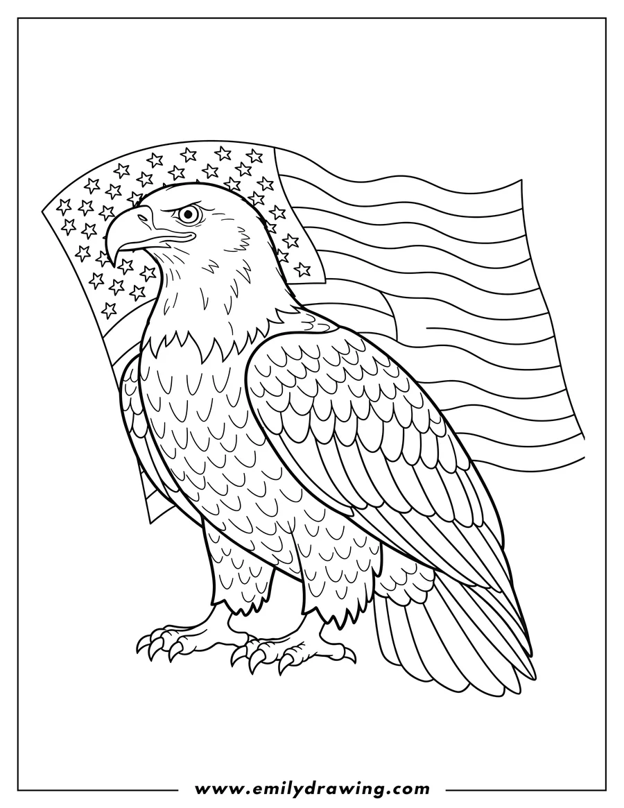 Linear illustration of bald Eagle looking left, with American flag and stars