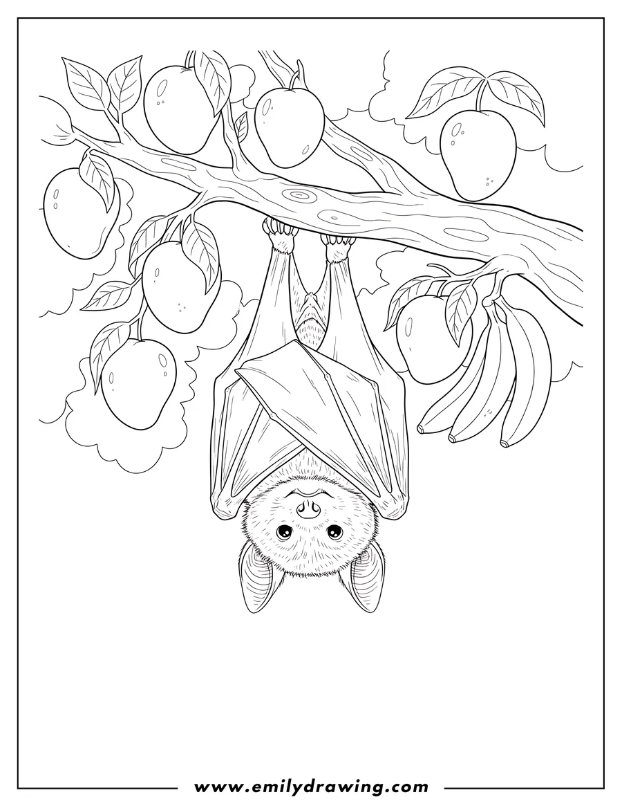 Line art of a fluffy bat hanging upside down from a tree branch with its wings folded, surrounded by apples and bananas.