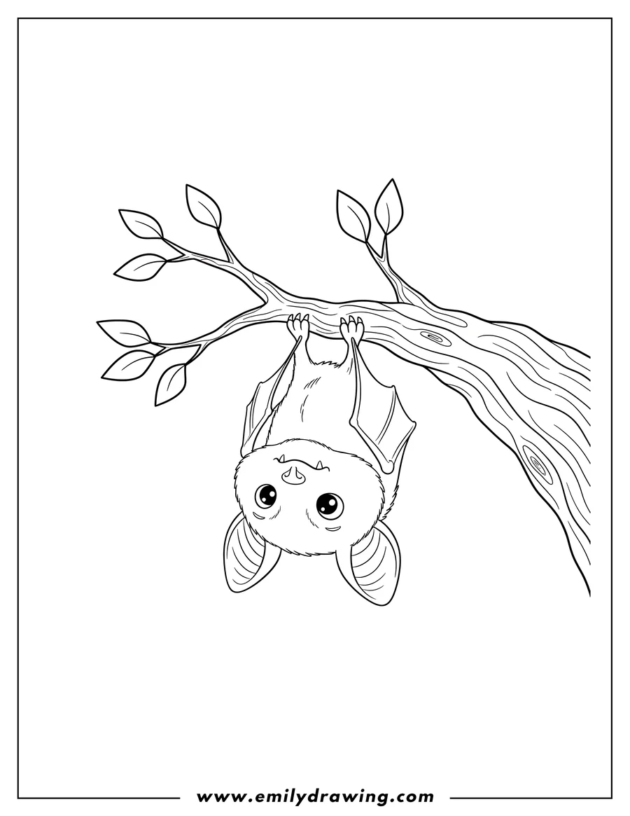Line art of a fluffy bat hanging upside down from a tree branch, looking forward with wide eyes.