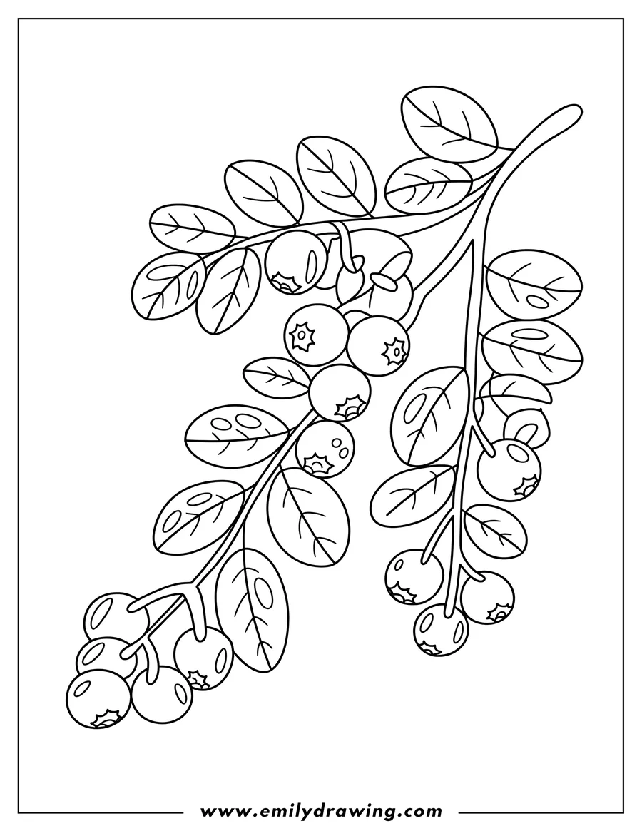 High quality printable berries for coloring