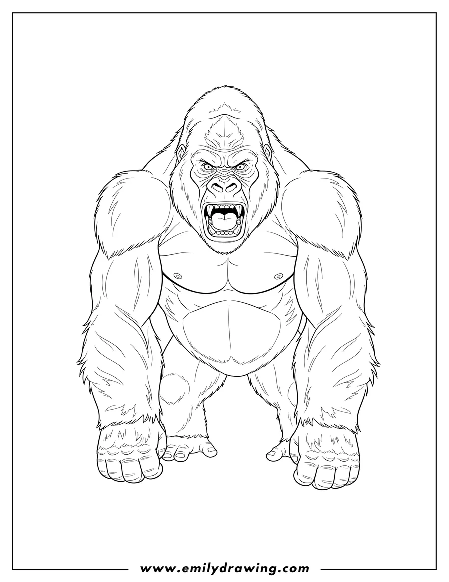 Coloring page of big Silverback Gorilla standing on all fours with a fierce expression