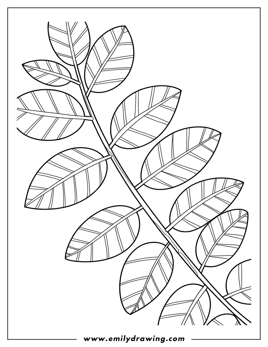 Doodle style coloring picture of branch with Leaves