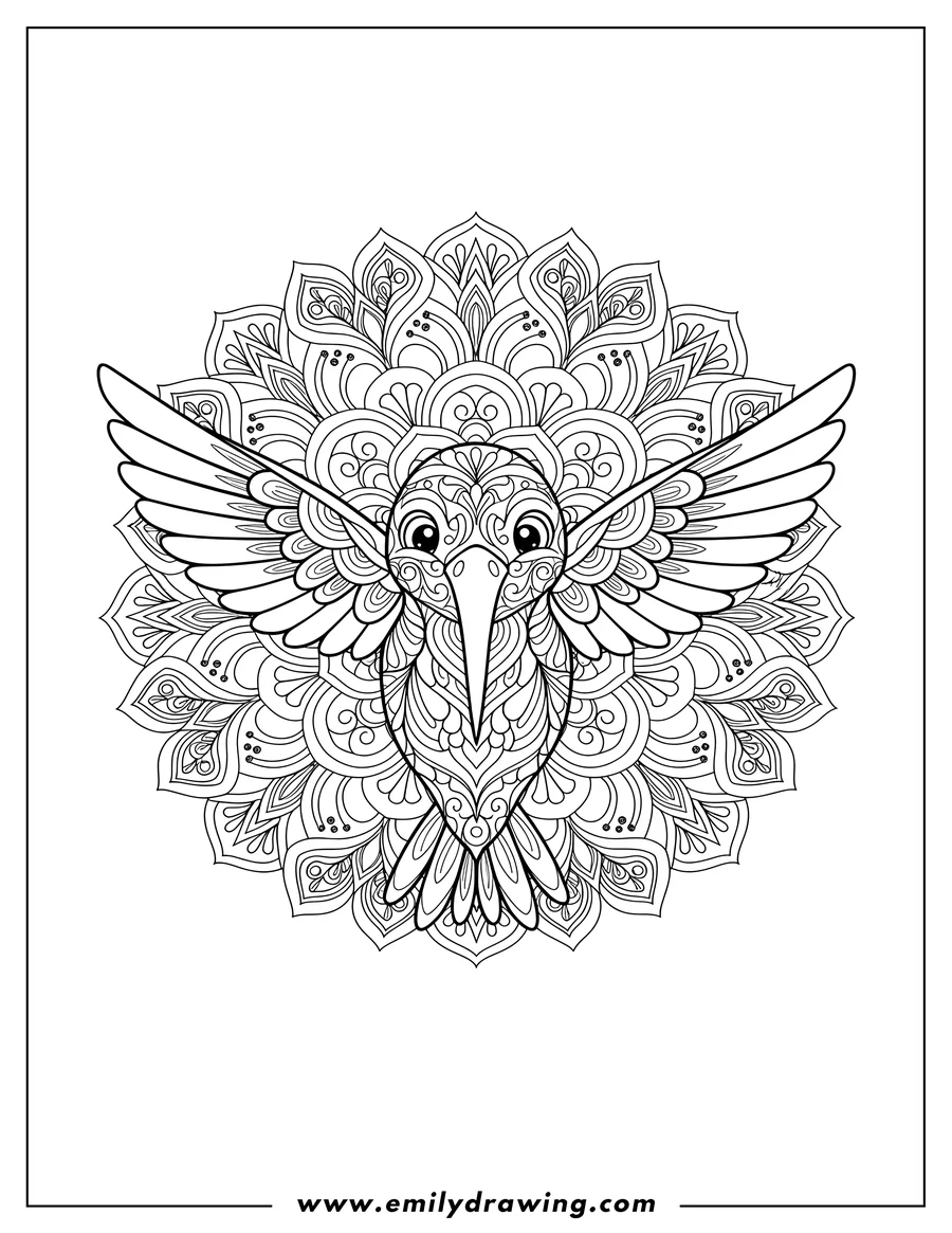 Linear illustration of cartoon Hummingbird Front flying with long beak Cute Mandala