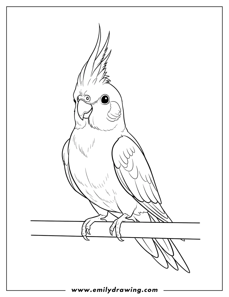 Printable coloring page of cockatiel standing with crest up