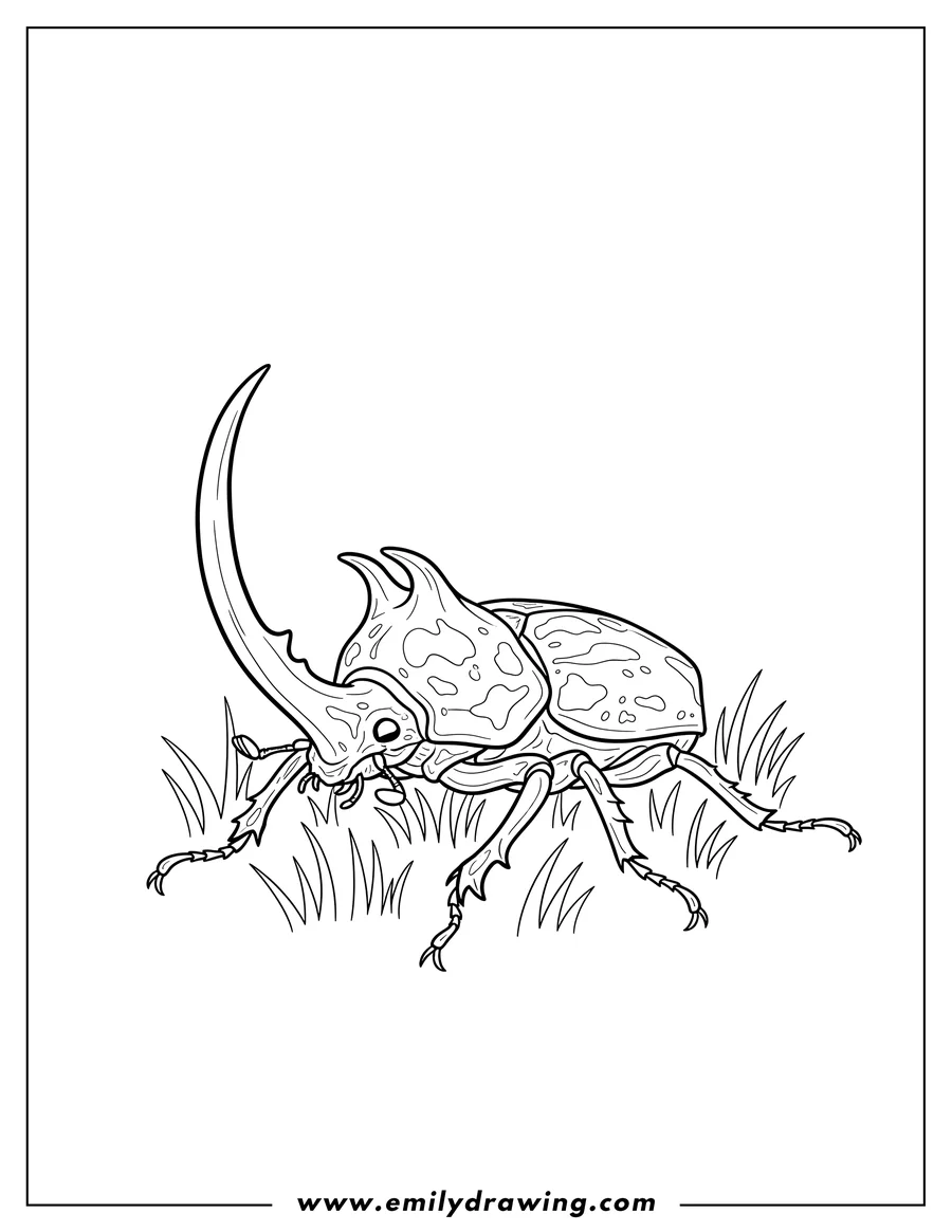 Black and white line art of detailed Hercules Beetle with large horns crawling on grass