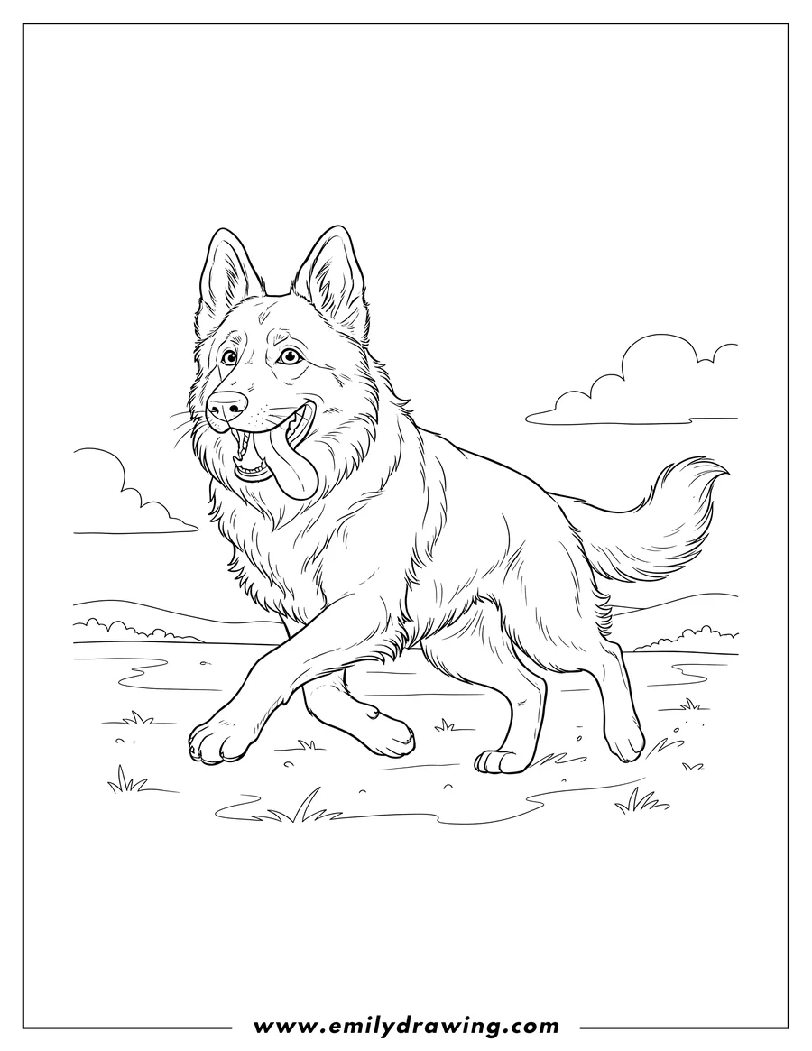 Coloring sheet featuring fluffy German Shepherd Mid Run With Tongue Out, smiling with one paw raised
