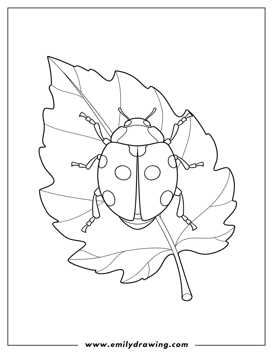 Free to print drawing of ladybug Beetle On Leaf, with spots, seen from above