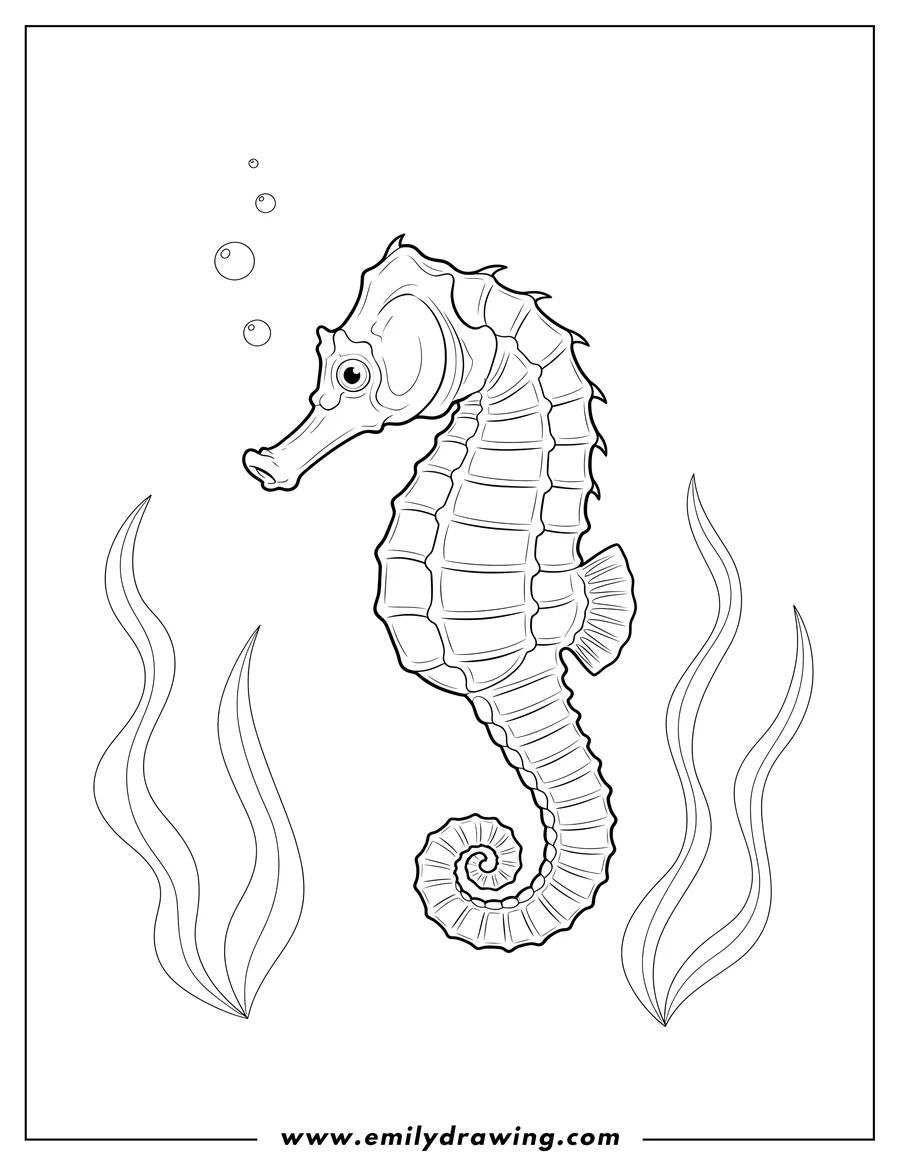 Simple sketch of realistic Looking Seahorse, with a segmented body and a curled tail to color