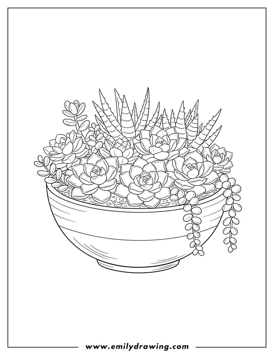 Doodle style coloring picture of realistic Succulents, a mixed arrangement in a bowl-shaped pot