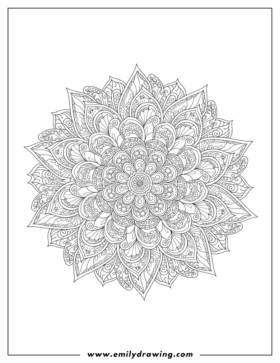 Vector style outline of complex flower zentangle mandala with intricate petal shapes