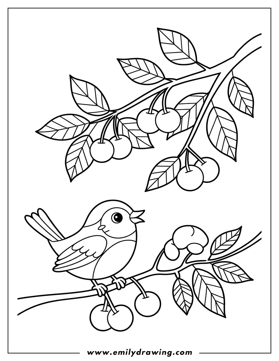 Vector style outline of bird