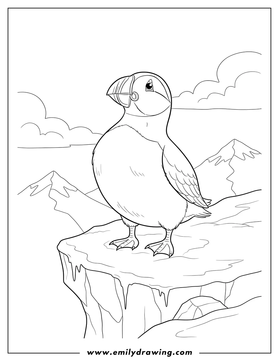 Linear illustration of cute Puffin Standing On Arctic Cliff, Looking Up