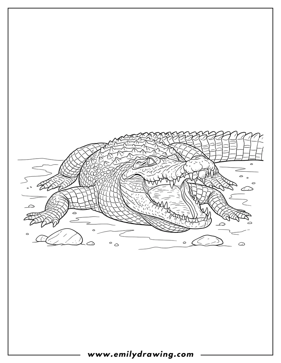 PDF style coloring page: detailed African Nile Crocodile To Color Scaled, lying on the ground with its mouth wide open