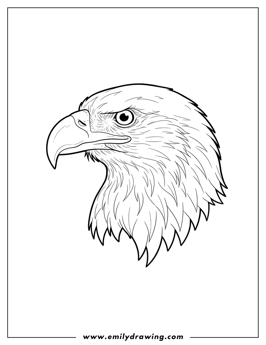 Free to print drawing of detailed bald eagle head in profile
