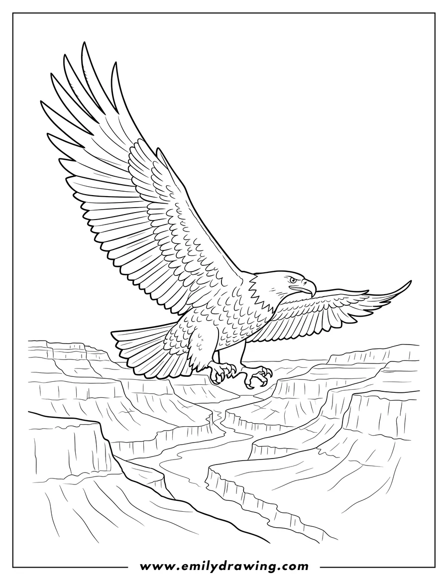 Printable coloring page of large Bald Eagle with Wings Spread Soaring Over Grand Canyon