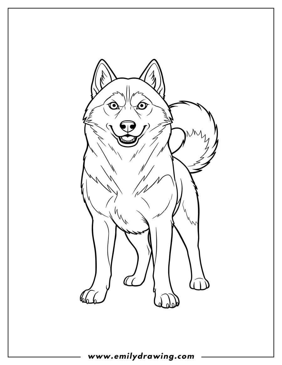 Coloring sheet featuring fierce Looking Husky standing and looking forward