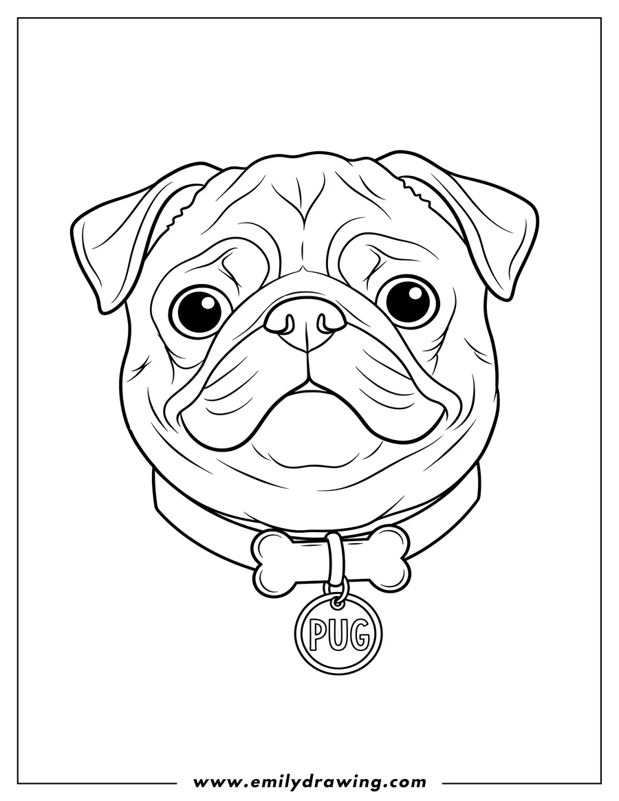 Linear illustration of A pug's face with a collar and a PUG tag