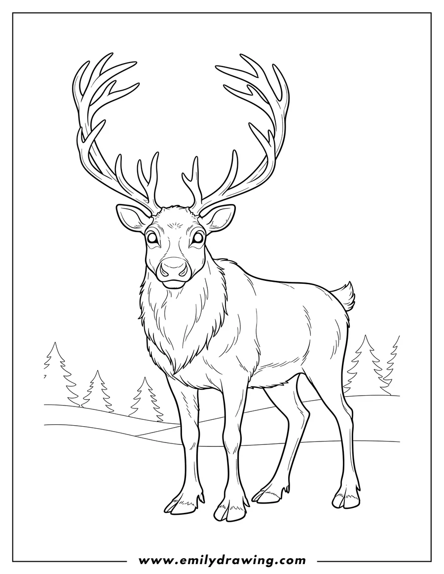 Doodle style coloring picture of detailed Reindeer standing with large antlers
