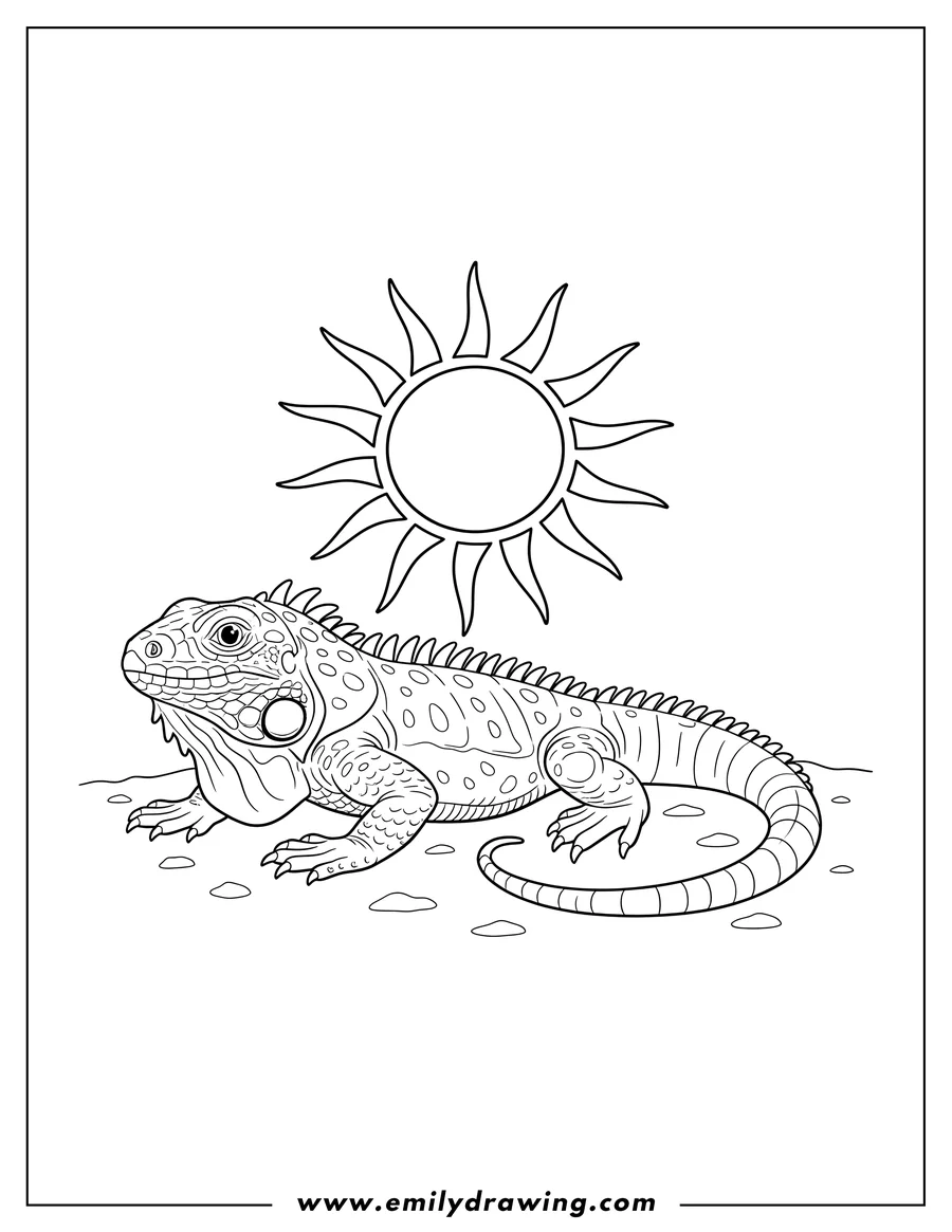 Printable coloring page of schleich Iguana with spiky back lying down under the sun