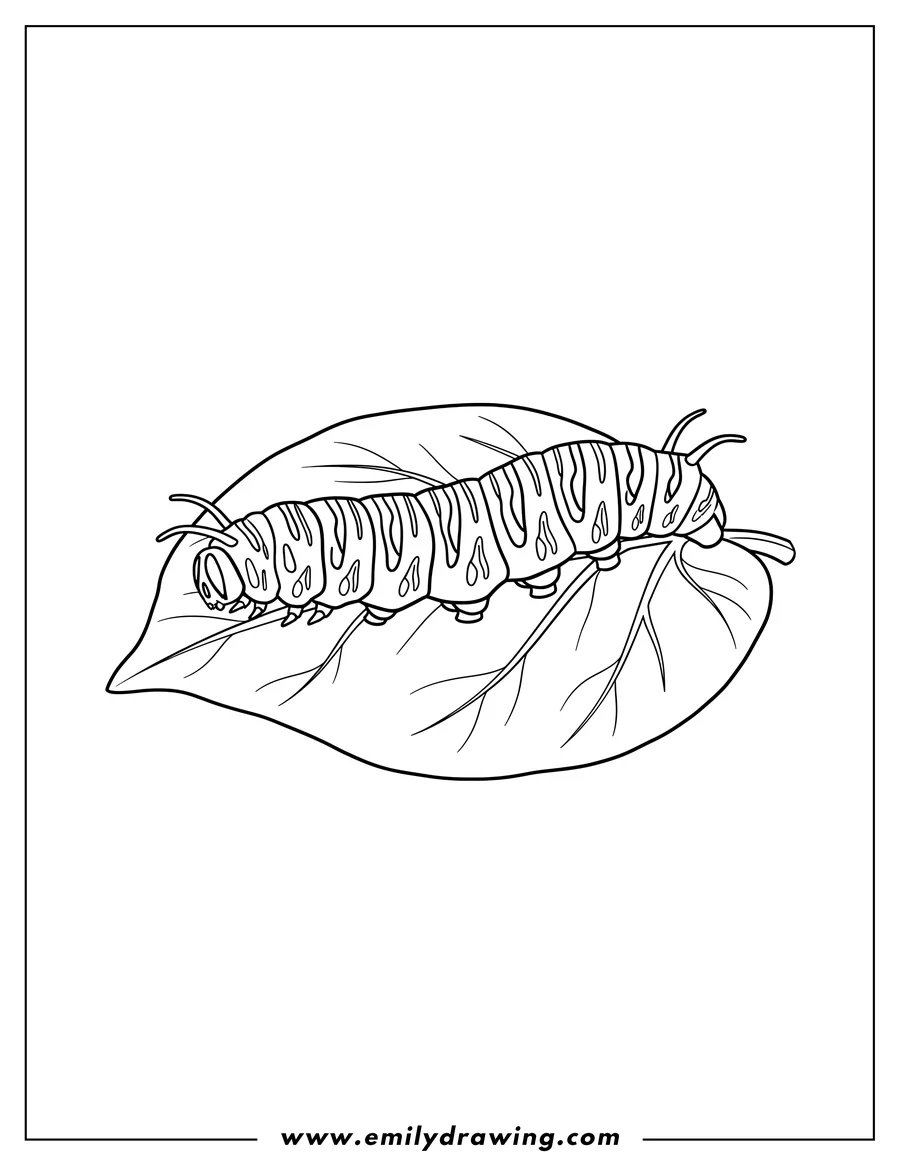 High quality printable striped Monarch Caterpillar on a leaf for coloring