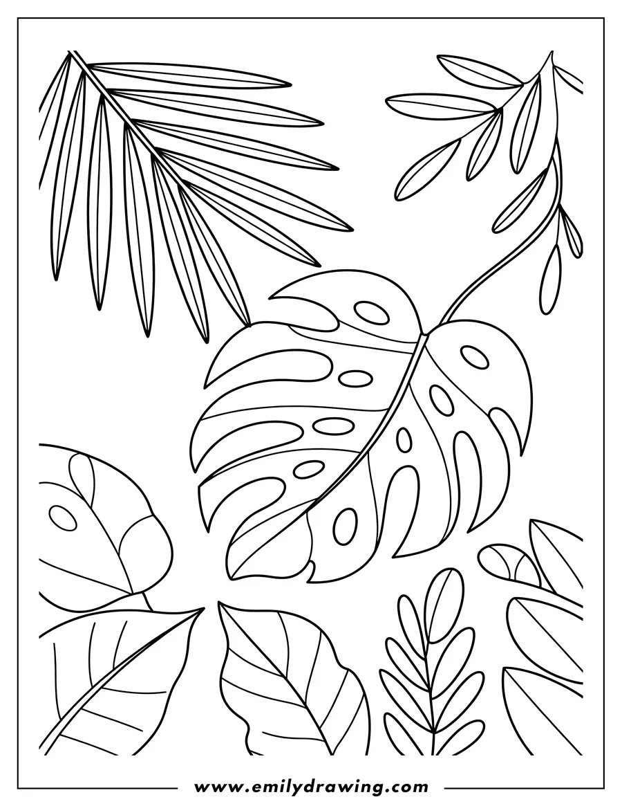 Downloadable coloring page of tropical Leaves
