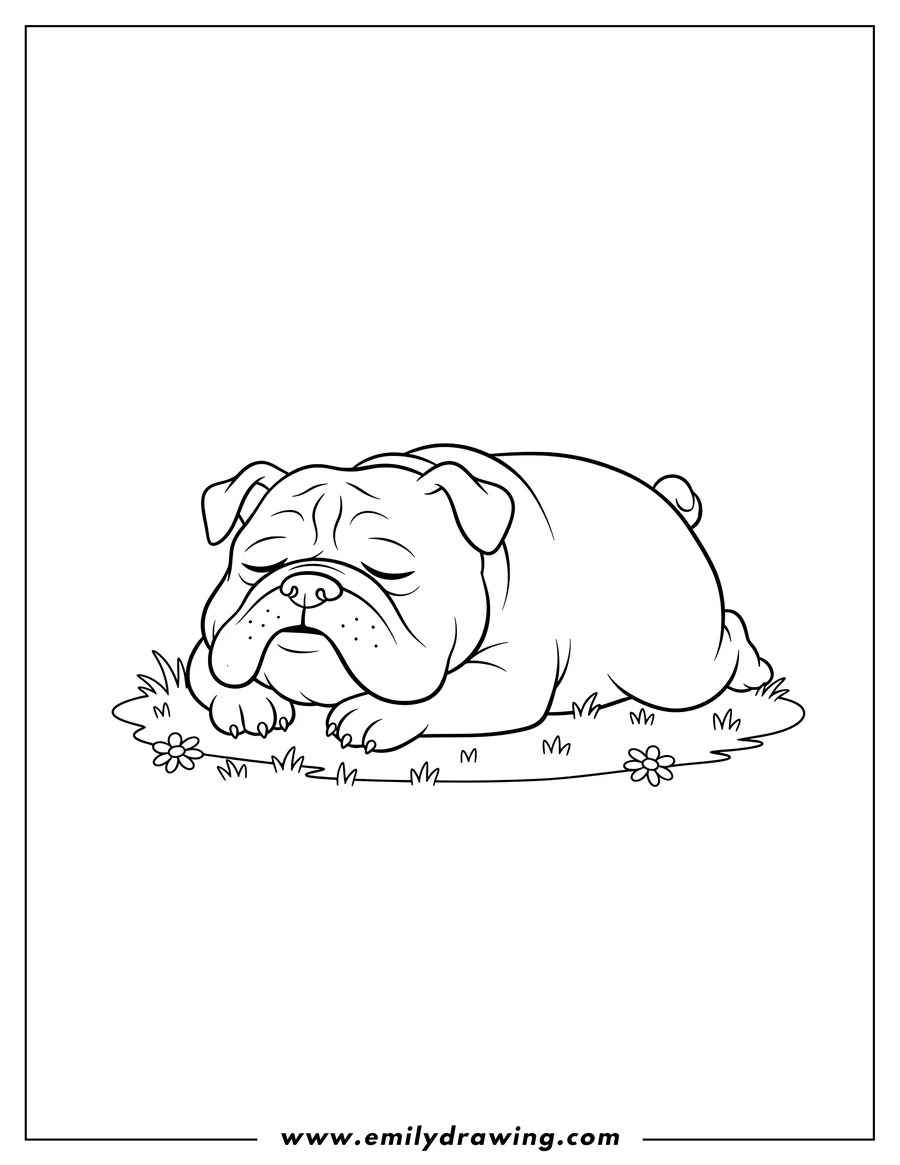 Black and white line art of A bulldog lying down with its head resting on its paws on the grass