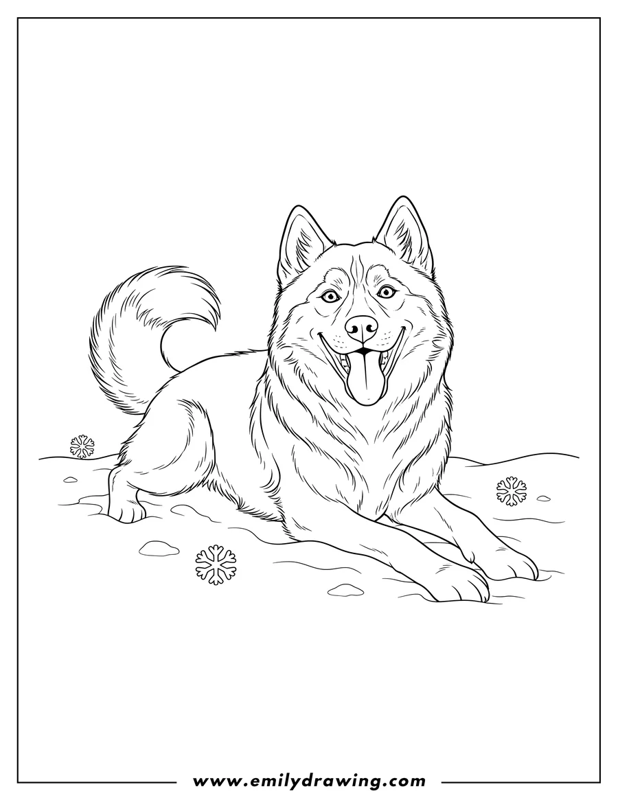 Simple sketch of adult Husky Lying in Snow with Open Mouth to color