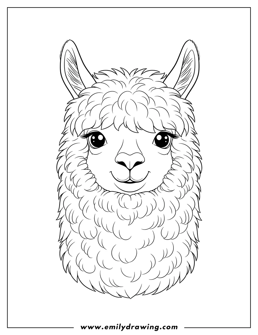 Full page coloring image of alpaca face looking forward, with fluffy fur