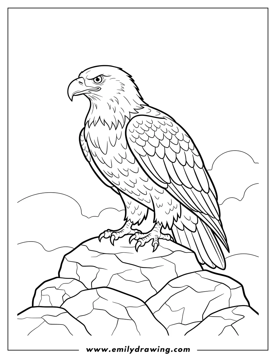 Free printable coloring sheet of easy Bald Eagle Perched On Rock Scaled, looking left with a determined expression