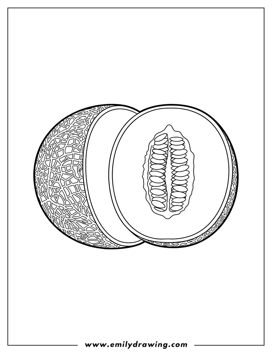 Full page coloring image of easy Cantaloupe cut in half with seeds