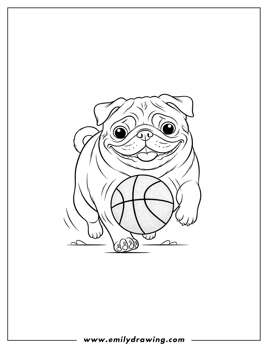 Printable line art of happy Pug running with a lifted front leg, chasing a basketball