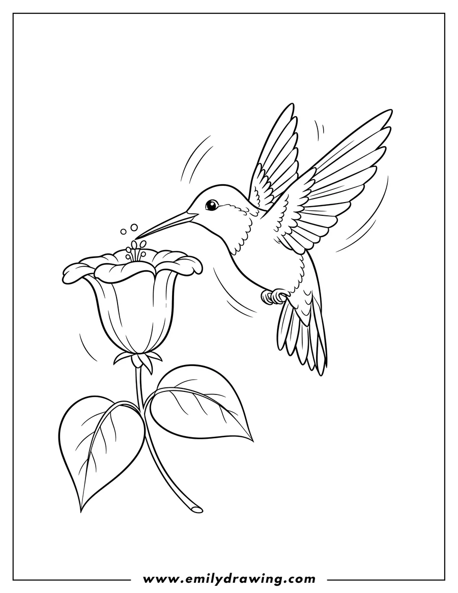 Full page coloring image of easy Hummingbird flying with spread wings, drinking nectar from a flower