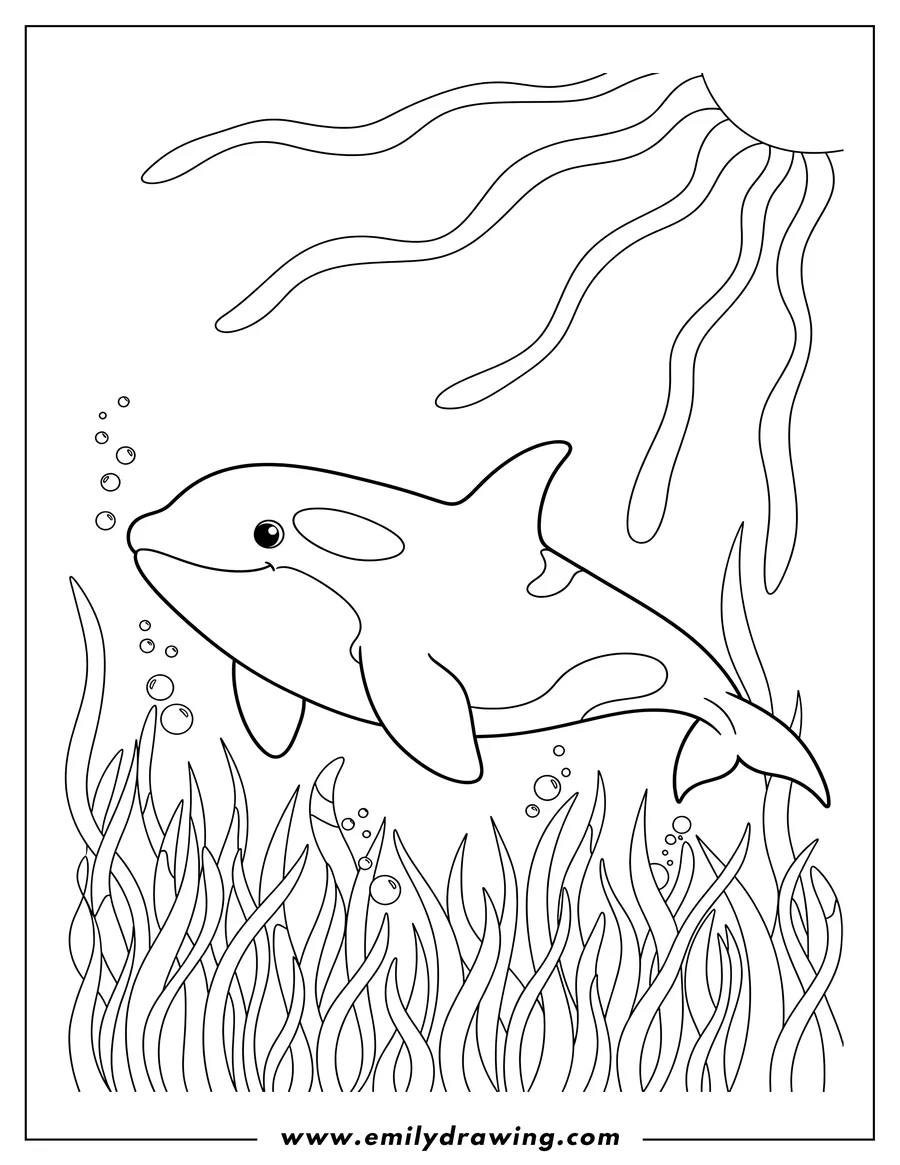 Vector style outline of orca gliding through underwater seagrass with the sun shining above