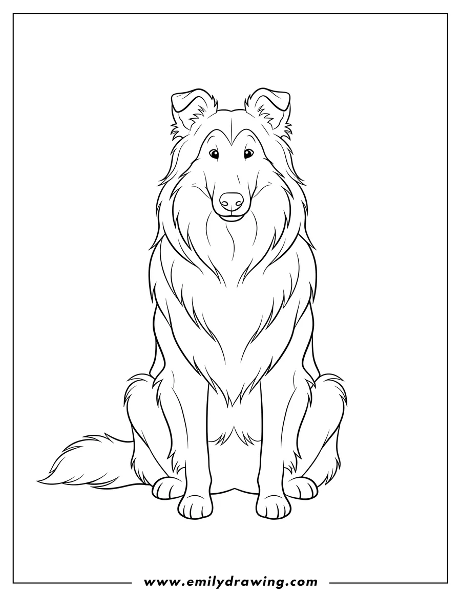 Coloring sheet featuring easy Outline Rough Collie sitting and looking forward