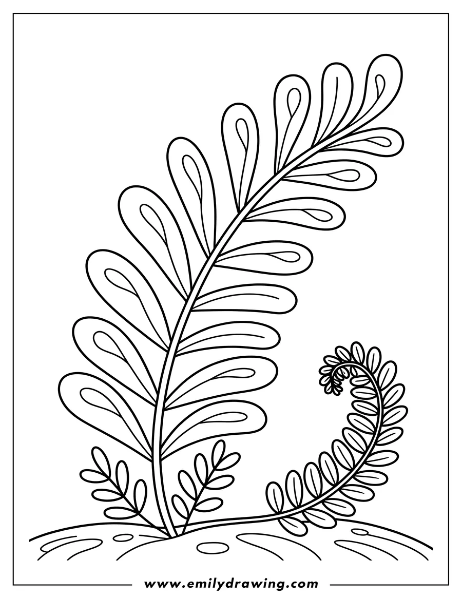 Free printable coloring sheet of plant