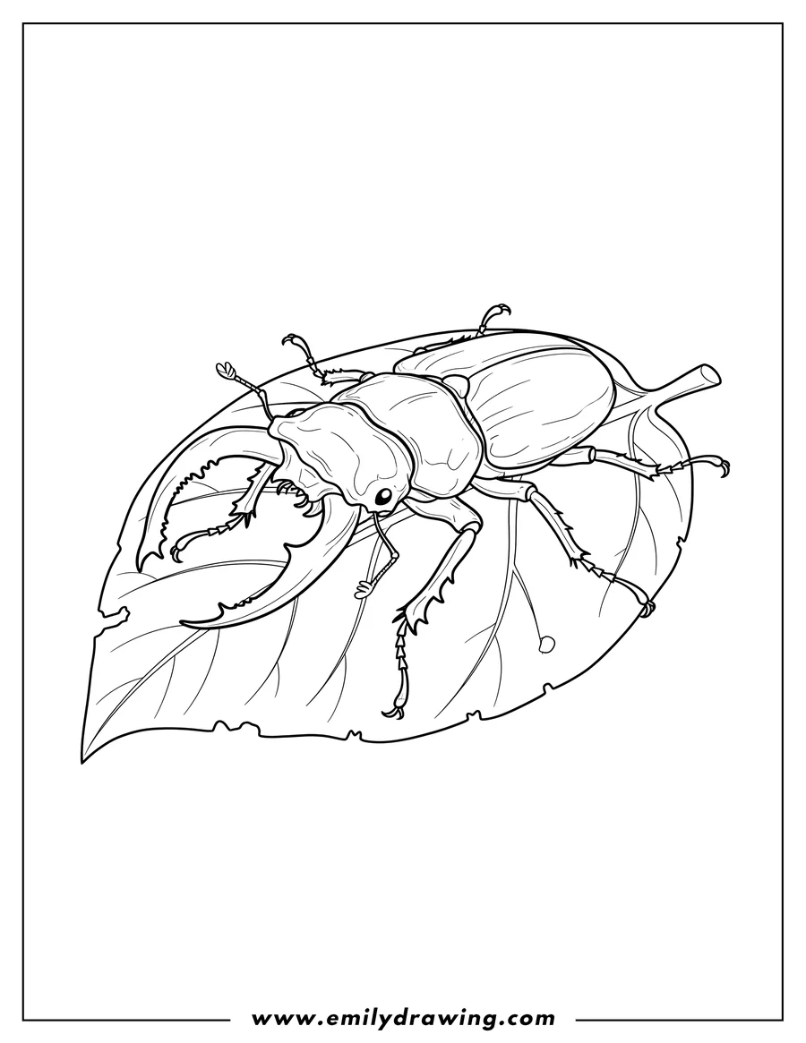 Printable line art of large Stag Beetle with big pincers crawling on a leaf