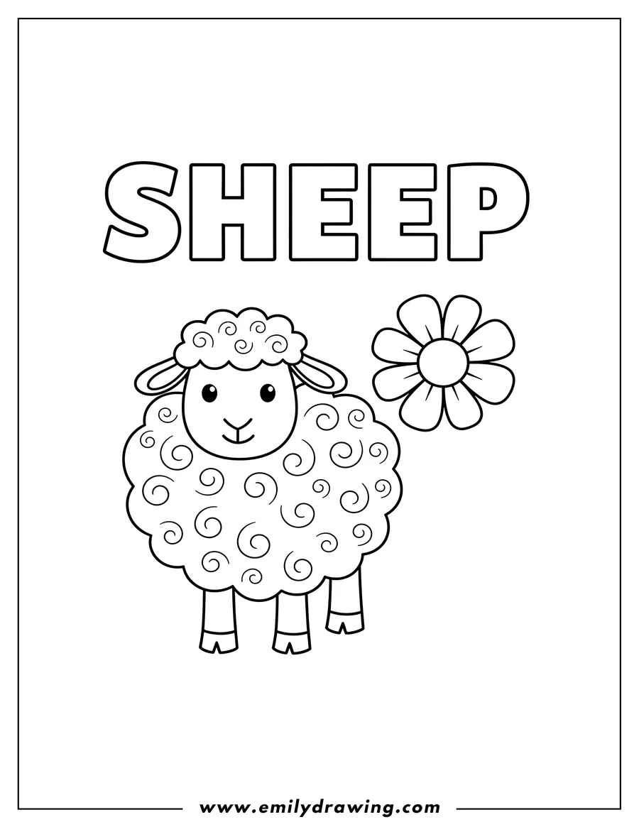 Outline drawing of easy sheep standing with fluffy wool, next to a flower, and large text 'SHEEP'