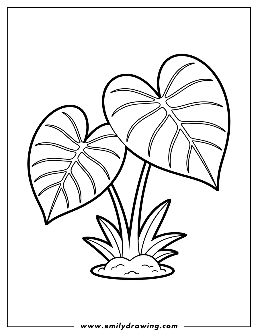 Coloring sheet featuring tropical Plant