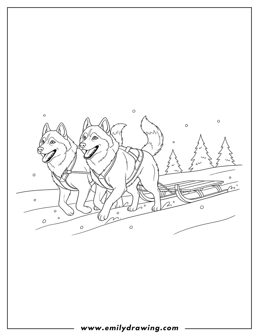 Coloring page for kids: two happy working huskies, wearing harnesses and running, pulling a sled in winter