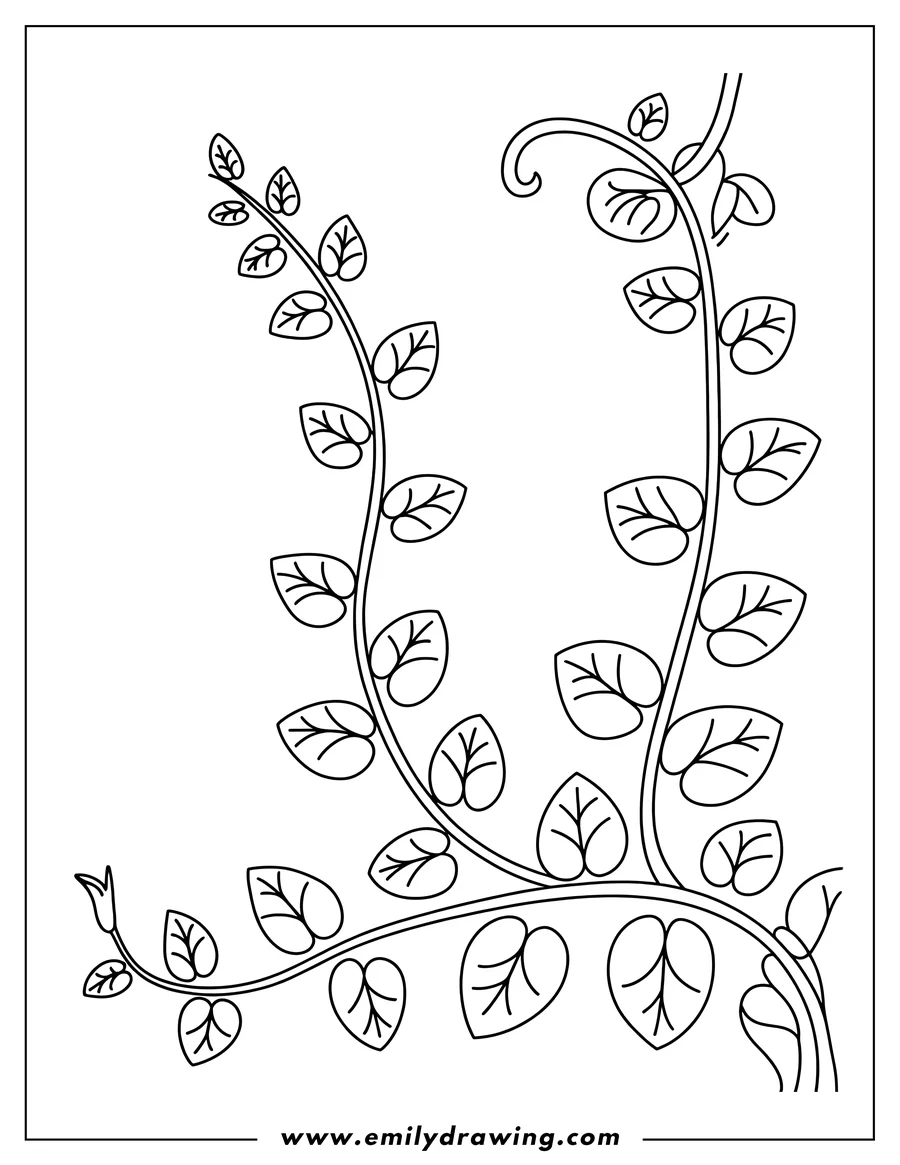 Printable line art of vines