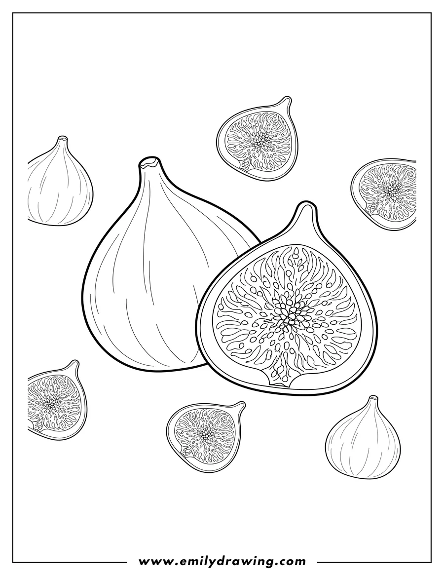 High quality printable fig Fruit Scaled, with one whole fig and another cut in half showing seeds for coloring
