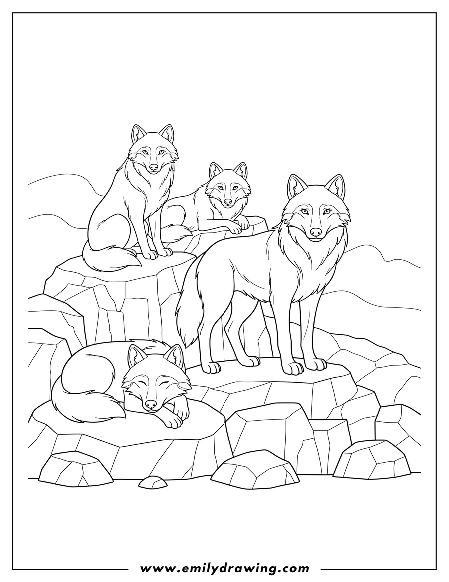 High quality printable four wolves resting on rocks, some standing and some lying down for coloring